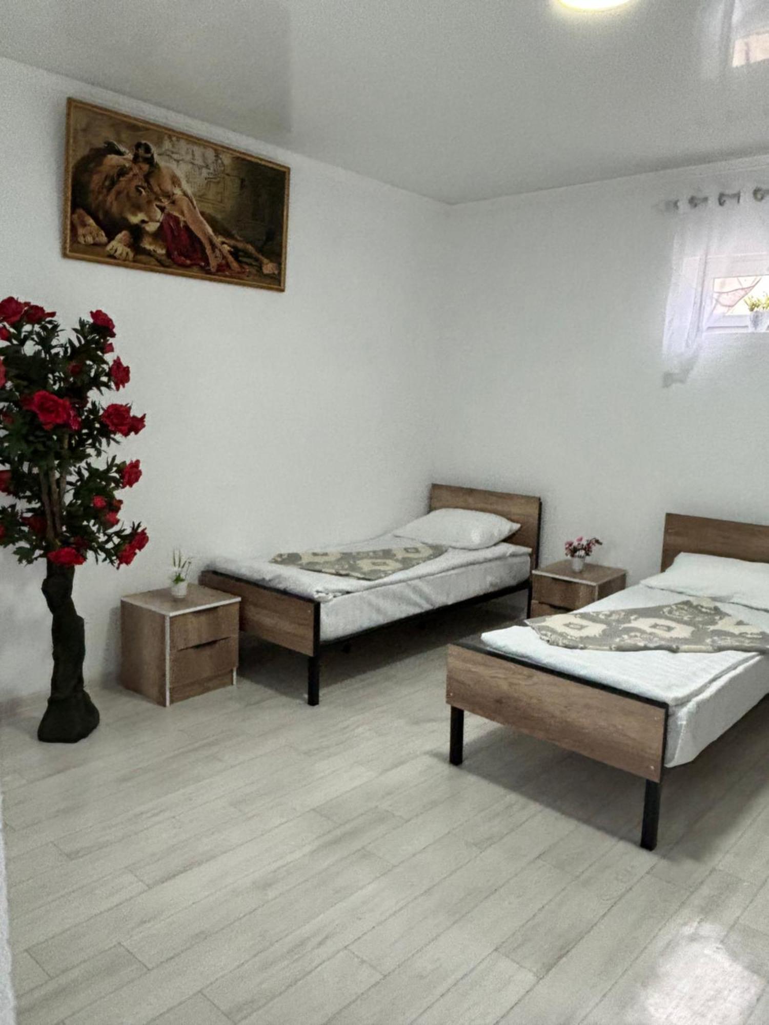 Hostel,Halal Хостел,Халал Tokmok ภายนอก รูปภาพ